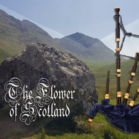 The Flower of Scotland