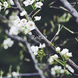 Restart