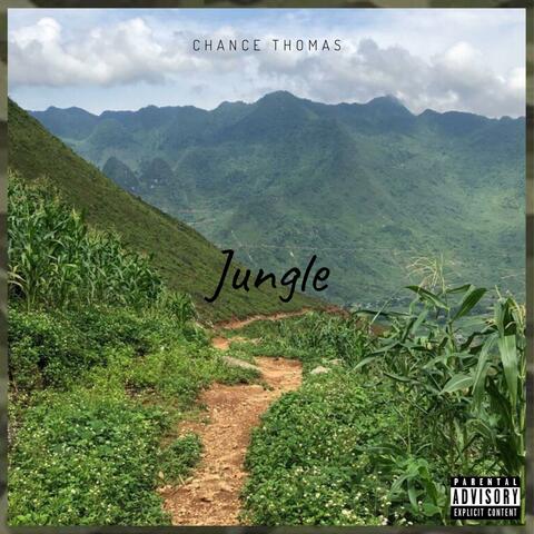 Jungle