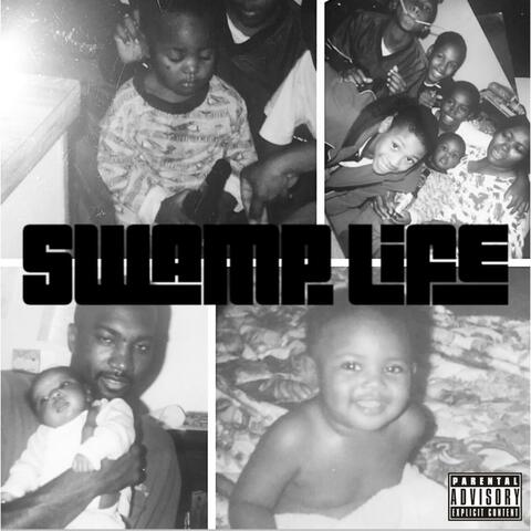 Swamp Life