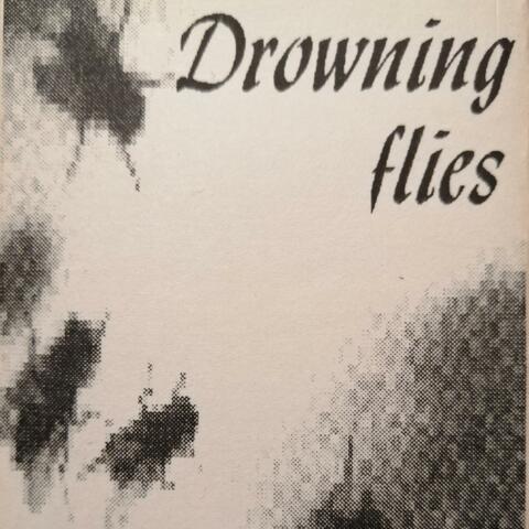 Drowning Flies