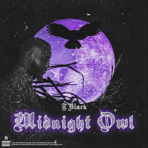 Midnight Owl