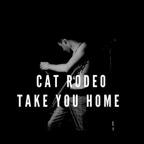 Take You Home