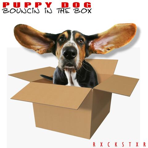Puppy Dog (Bouncin' in the Box)