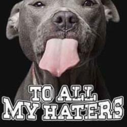 To All My Haters
