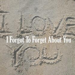I Forgot to Forget About You