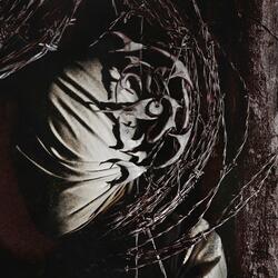 No Turning Back