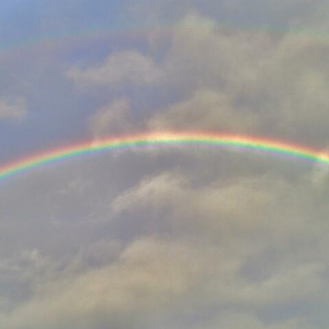 Have You Ever Seen The Rain