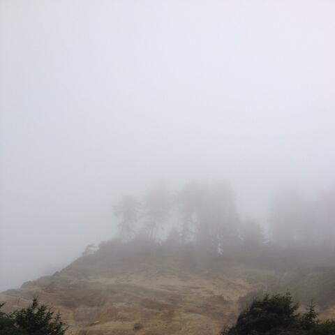 Sonny Brought a Gun to School