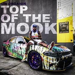 TOP of the Mook