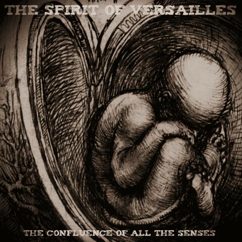 The Confluence of All the Senses