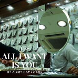 All I Want Is You