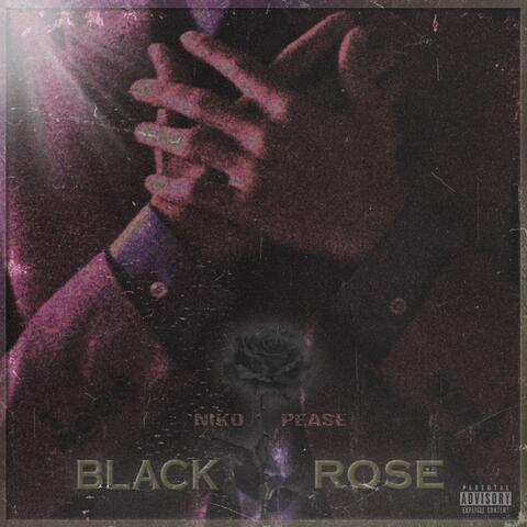 Black Rose