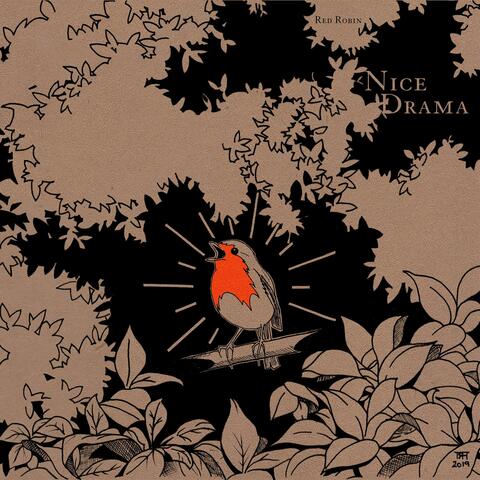Nice Drama