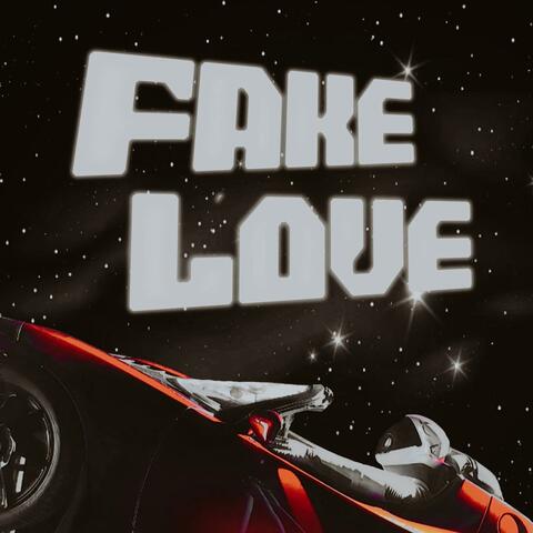 Fake Love
