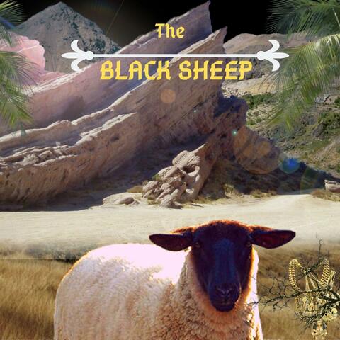 The Black Sheep