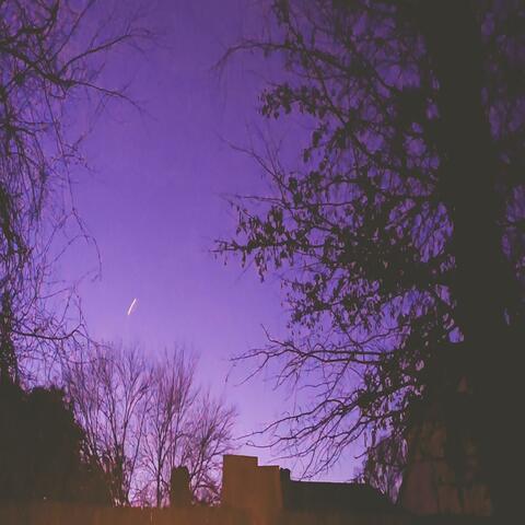 Purple Skies