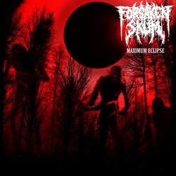 Insta-Thots (Meme Song)