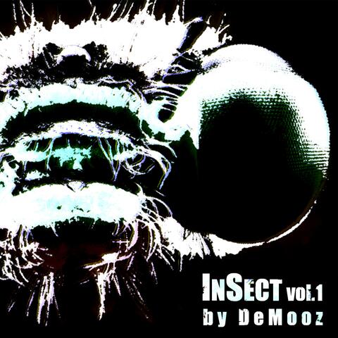 InSect, Vol. 1
