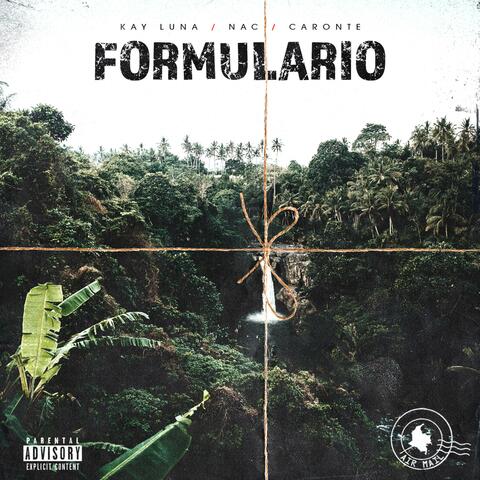 Formulario