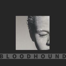 Bloodhound