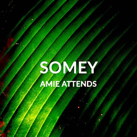 Amie attends