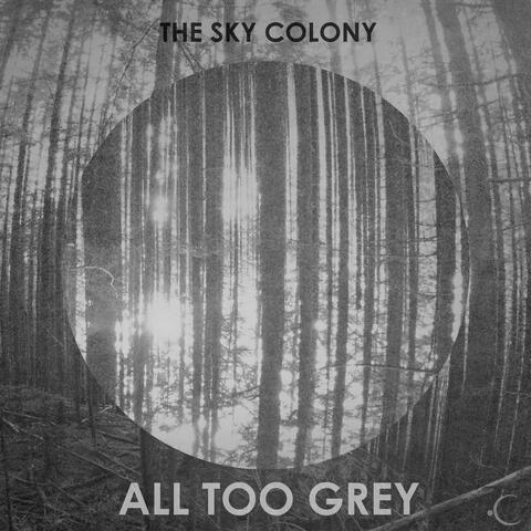 All Too Grey