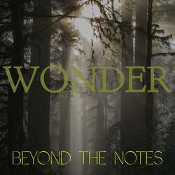 Wonder