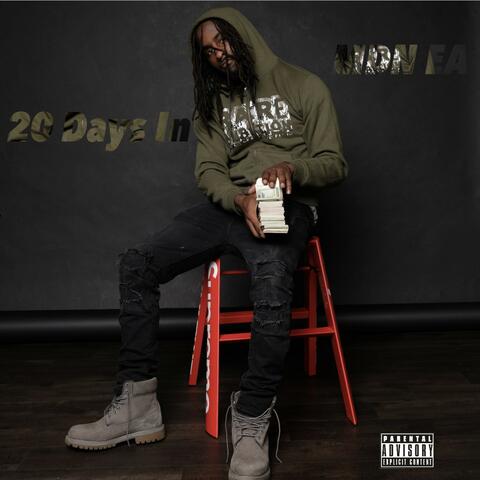 20 Days In