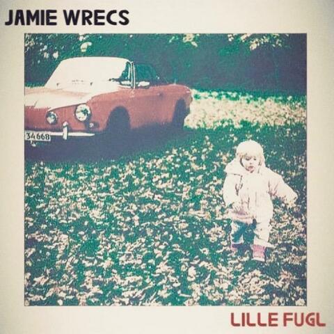 Lille Fugl