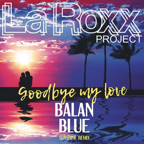 Goodbye My Love