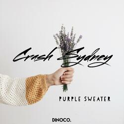 Purple Sweater