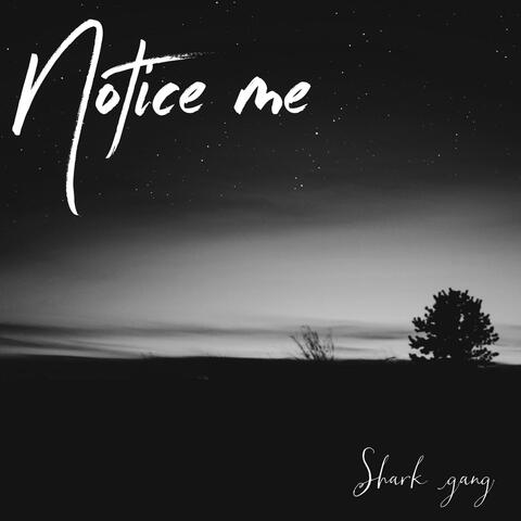Notice Me