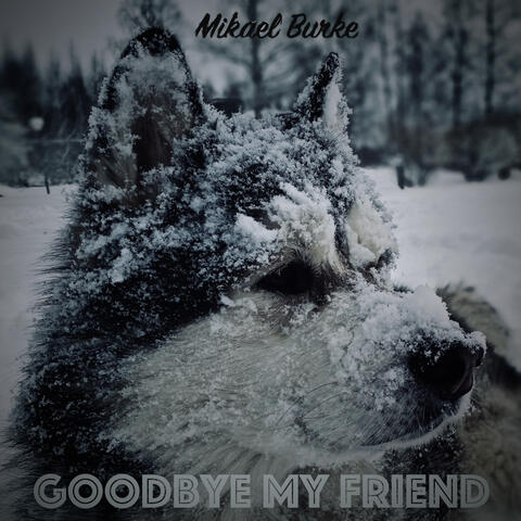Goodbye My Friend