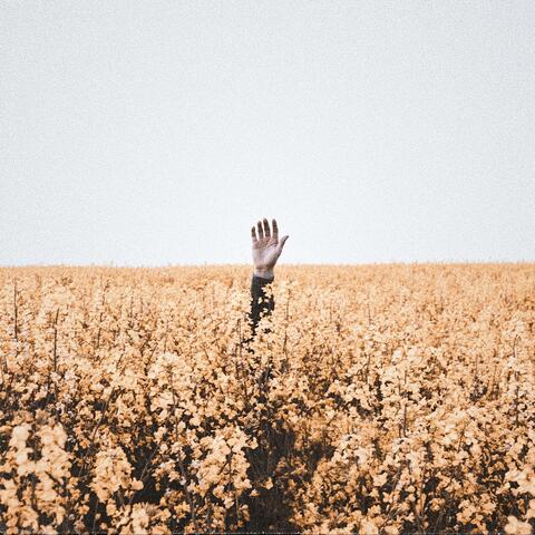 Lost