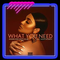 What You Need (feat. NTG)