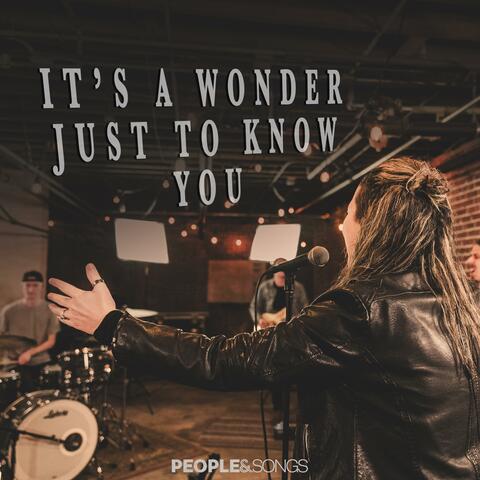 It's a Wonder Just to Know You