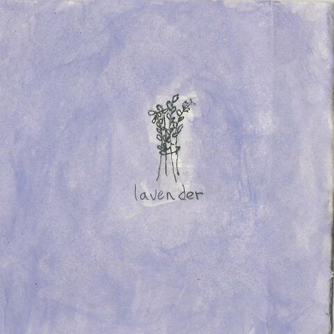 Lavender