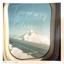Temporary Bliss