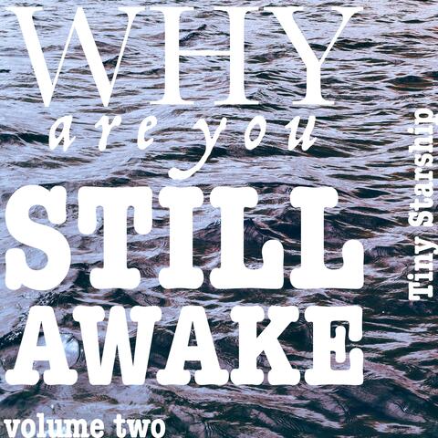 Why Are You Still Awake, Vol 2.
