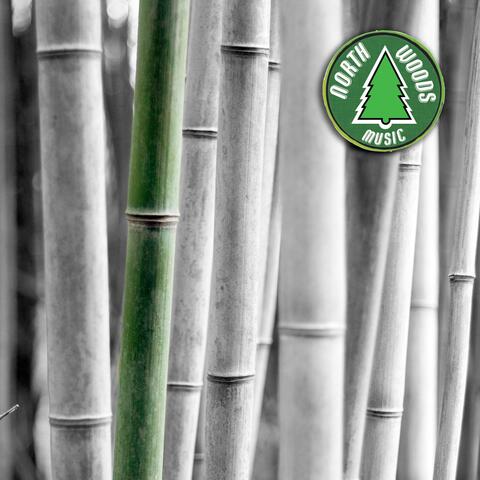 Bamboo Forest