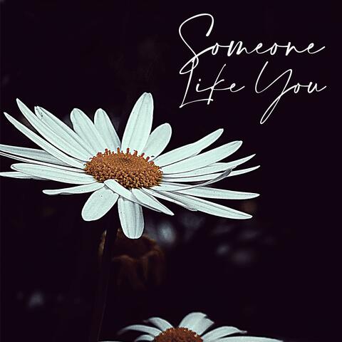 Someone Like You