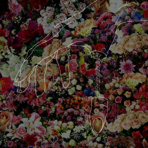 Strawberry Fields
