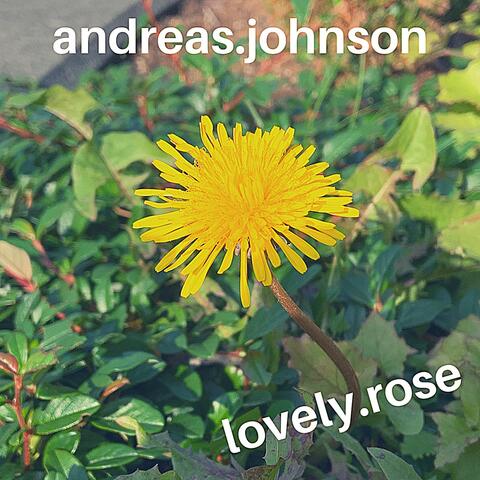 Lovely Rose
