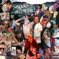 Tequila Mockingbird