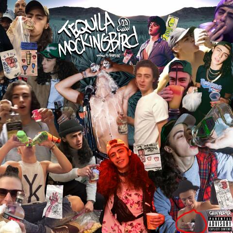 Tequila Mockingbird