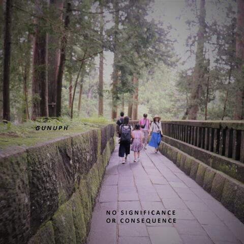 No Significance or Consequence