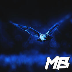 Night Owl