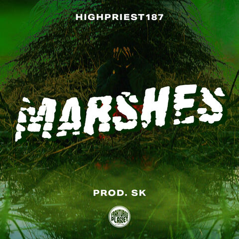 Marshes