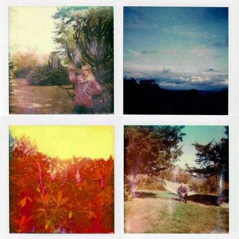 Music for Succulents